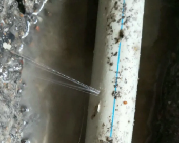 精河卫生间测漏水多少钱