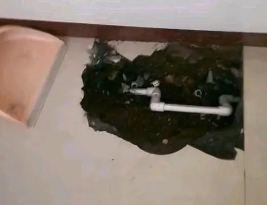 精河卫生间测漏水多少钱